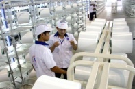 Nhà máy Xơ sợi Polyester Đình Vũ 325 triệu USD tạm dừng hoạt động