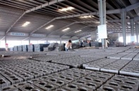 Gạch không nung vẫn khó vào các công trình lớn