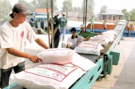 Nguồn cung đường năm 2016 giảm 200.000 tấn