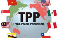 Xây dựng cổng thông tin dành riêng cho TPP và EVFTA 