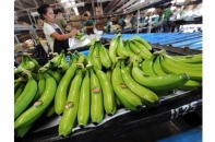 Cảnh báo doanh nghiệp Việt bị lừa tiền khi xuất khẩu trái cây sang UAE