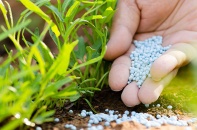 Điều tra áp dụng biện pháp tự vệ đối với phân bón nhập khẩu vào Việt Nam