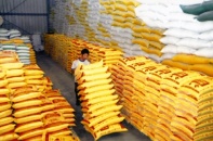 5 tháng, chi hơn 1,5 tỷ USD nhập khẩu thức ăn chăn nuôi