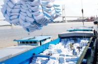 8 tháng, ngành nông nghiệp xuất siêu gần 4,5 tỷ USD