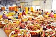 Rinh về 2,32 tỷ USD, xuất khẩu rau quả "qua mặt" gạo 550 triệu USD