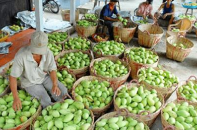 Số lượng doanh nghiệp dự Diễn đàn doanh nghiệp Việt Nam – UAE vượt dự kiến