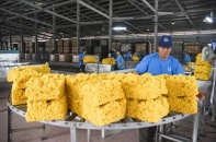 Chè, cà phê, cao su đã đem về hơn 5,1 tỷ USD