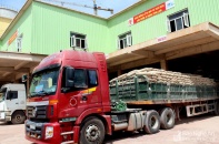 80 triệu tấn xi măng đã được tiêu thụ trong năm 2017