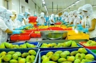 Xuất khẩu rau quả tiếp tục lập kỷ lục trong tháng 1/2018 với 320 triệu USD