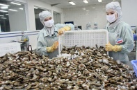 Tôm tươi nguyên con của Việt đủ điều kiện xuất đi Australia