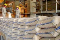 Sụt giảm 90% lợi nhuận năm qua, Vicem Hoàng Mai vẫn cố đầu tư dây chuyền mới