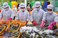 Xuất khẩu thủy sản giúp mang về 3,1 tỷ USD trong 5 tháng đầu năm