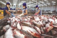 Doanh nghiệp xuất khẩu uy tín năm 2017: Thủy sản, cà phê, gạo chiếm ngôi 