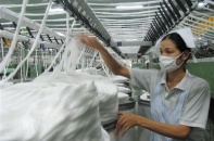 Giá bông "nhảy múa", chi nhập khẩu vọt lên mức 1,55 tỷ USD 
