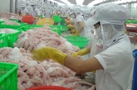 Thủy sản, rau quả tìm đường sang thị trường Trung Quốc