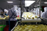 Một loạt nhà máy nghìn tỷ đồng chế biến rau quả xuất khẩu chuẩn bị vận hành