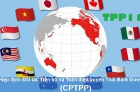 Việt Nam sắp trình phê duyệt Hiệp định CPTPP 