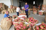 Thương mại song phương Việt Nam - Hàn Quốc nhắm mốc 100 tỷ USD