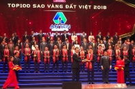  An Tiến nhận giải thưởng Sao Vàng đất Việt 
