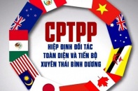 Trình Quốc hội sửa đổi một số Luật để thực thi Hiệp định CPTPP