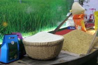 20 doanh nghiệp Trung Quốc sang Việt Nam tìm nhà cung ứng gạo