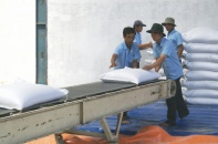 Lộc Trời và Tấn Vương sẽ xuất khẩu 84.000 tấn gạo mỗi năm sang Trung Quốc