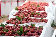 Giao dịch với đối tác Trung Quốc cần đặc biệt lưu ý gì?
