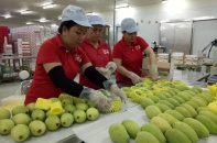 Việt Nam xuất siêu sang 5 thị trường trong khối CPTPP