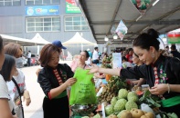 Khai mạc Tuần lễ Nhãn và Nông sản an toàn tỉnh Sơn La năm 2019