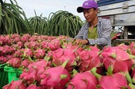 Hai Bộ trưởng chủ trì hội nghị bàn cách xuất khẩu nông, thủy sản sang Trung Quốc