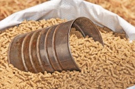 9 tháng, chi 2,8 tỷ USD nhập thức ăn chăn nuôi