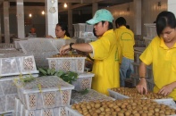 Doanh nghiệp chưa tận dụng chứng nhận xuất xứ hàng hóa CPTPP khi xuất khẩu sang Australia