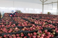 Xuất khẩu đã tiệm cận mục tiêu tăng trưởng năm 2019