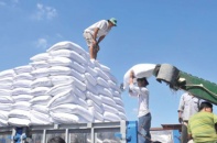 Năng lực cạnh tranh ngành mía đường có thể kéo dài ở mức thấp