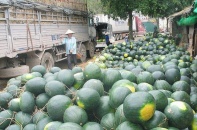 Cần theo dõi diễn biến xuất khẩu nông sản sang Trung Quốc trước và sau Tết Nguyên đán