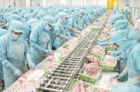 Thương mại 2 chiều Việt Nam-Nhật Bản đạt xấp xỉ 40 tỷ USD 