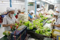 Xuất khẩu rau quả sang các thị trường khó tính tăng trưởng cao