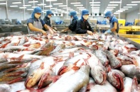 Nông sản Việt lo đáp ứng rào cản kỹ thuật tại EU