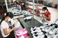 Năm 2019, thương mại 2 chiều Việt Nam-EU đạt 56,4 tỷ USD