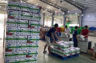Rà soát công tác sản xuất, điều hành xuất khẩu nông sản sang Trung Quốc
