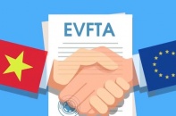 Đẩy nhanh tiến trình phê chuẩn Hiệp định EVFTA