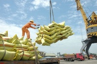 Chuẩn bị điều kiện cần thiết tận dụng cơ hội xuất khẩu khi EVFTA có hiệu lực