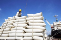 Bảo đảm lương thực cho 100 triệu dân Việt Nam