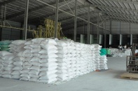 Doanh nghiệp xuất khẩu gạo đề xuất thông quan lượng hàng nằm tại cảng