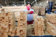 12 mặt hàng xuất khẩu có nguy cơ bị điều tra phòng vệ thương mại, chống lẩn tránh thuế 