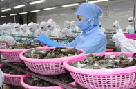 Hôm nay Quốc hội thảo luận việc phê chuẩn EVFTA