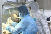 Phục hồi kinh doanh trong trạng thái bình thường mới sau đại dịch Covid-19
