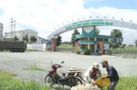 Dự án Bột giấy Phương Nam rao mãi vẫn ế