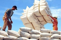 Việt Nam trúng thầu cung cấp 30.000 tấn gạo trắng cho Philippines