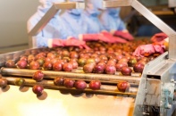 Nông sản Việt khai thác thị trường quy mô 150 tỷ Euro